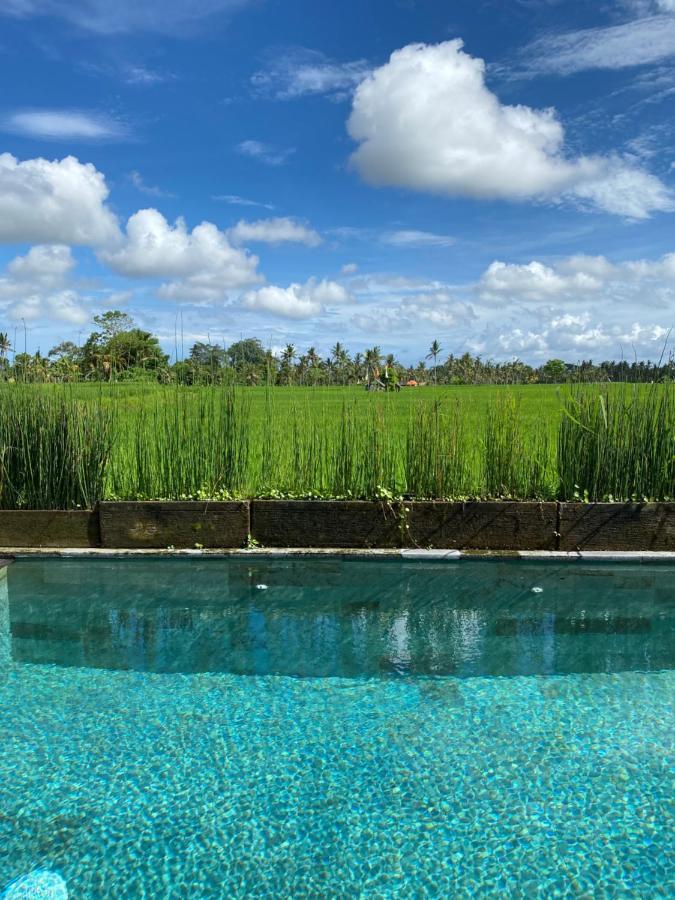 Casa Avana Ubud Exterior foto
